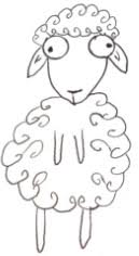 blair-sheep